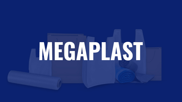 Introduction To Megaplast
