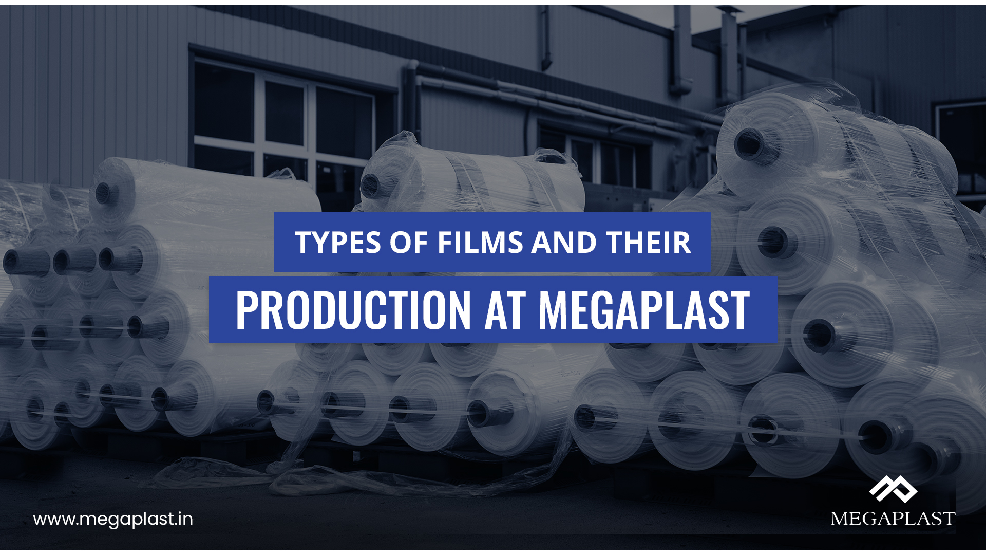 Types of Films and Their Production at Megaplast 