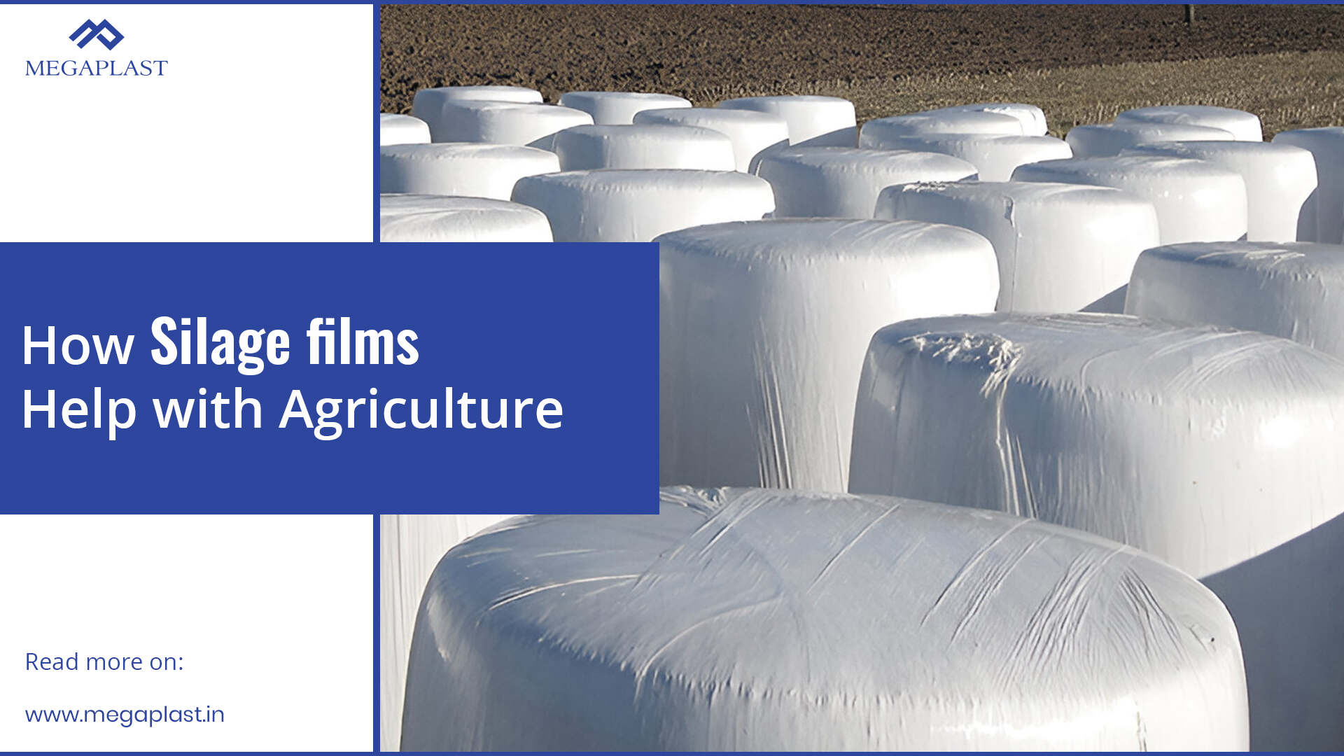 How Silage Films Help with Agriculture