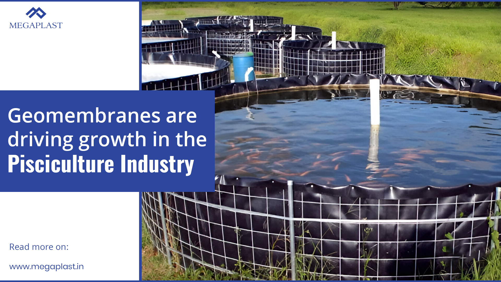 Geomembranes are driving growth in the Pisiculture industry