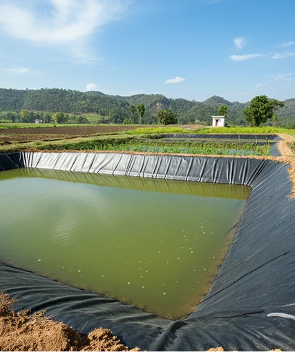 Agricultural ponds