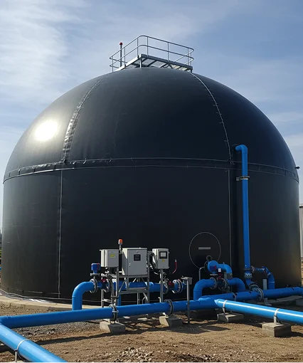 Biogas digester and biogas tanks